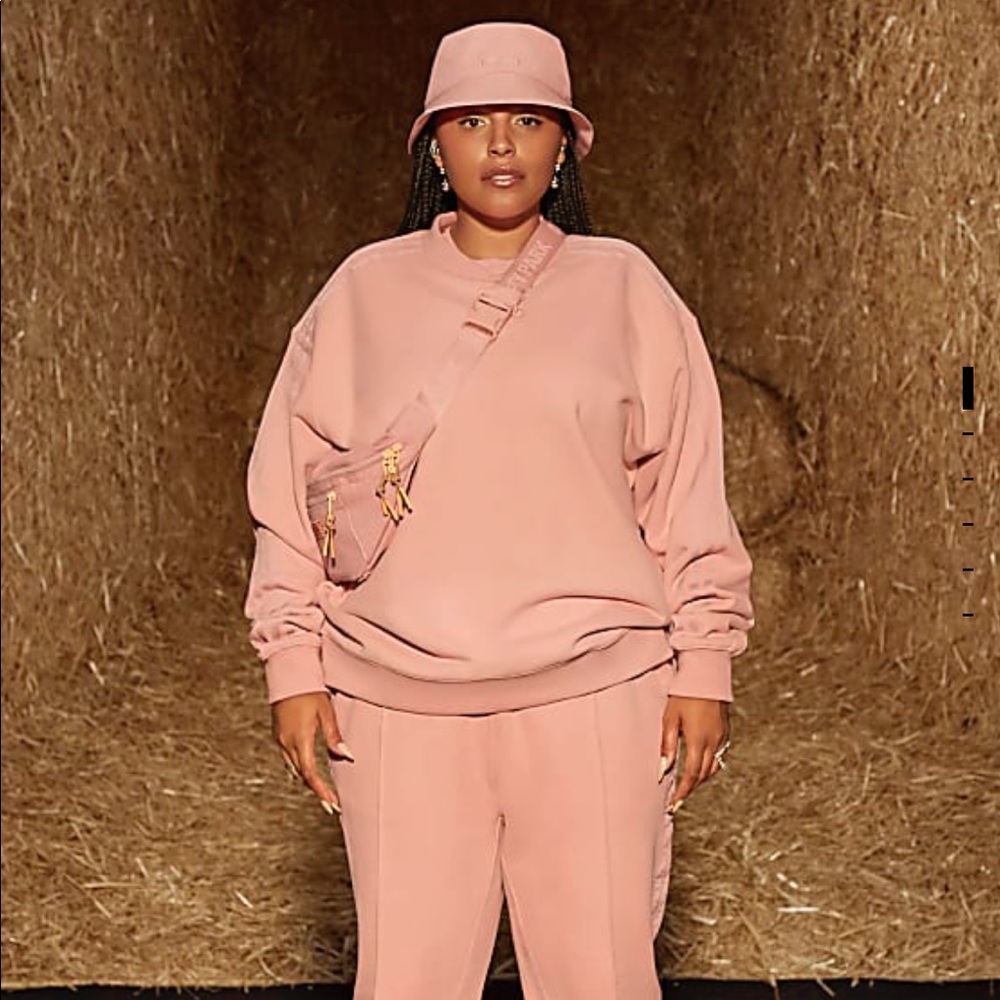 Ivy Park Sweatshirt